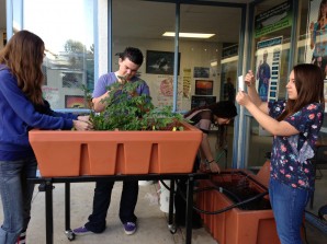 Photo Courtesy of Grants for Plants Foundation and The Aquaponic Source