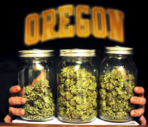 Medical grade marijuana in Oregon. 
