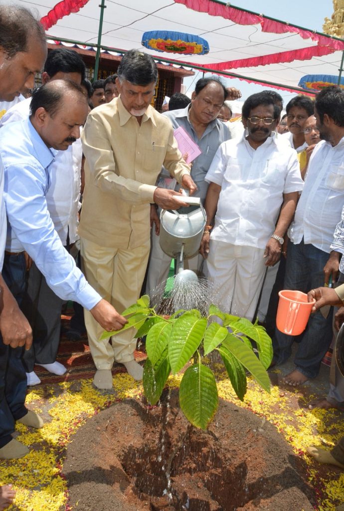 Chief Minister of Andhra Pradesh Mr. Nara Chandra Babu Naidu planting seedlings at Gundlakamma Reservior on 25.4.2015.