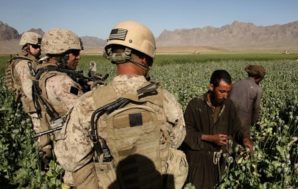 U.S Troops watch Taliban farmers grow and harvest opium. In some case they protect the farmers...