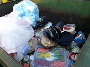 Food Waste Dumpster