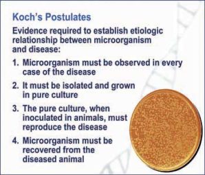 Koch's postulate: A process for establishing causation between an agent and a disease, Koch’s postulates were first developed for studies of infectious disease agents. Early on, the assumption was that a single exposure lead to a certain disease or trait. That was replaced by the epidemiologic concept of multi-causality; that things aren’t always that simple. Scientists would recognize that many diseases have multiple causes. Diseases are not caused by environmental factors alone, but also by constitutive factors that have to do with genetics and other forms of conditioning and inheritance. 