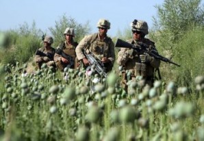 The United States has provided $7.5 billion on counternarcotics efforts in Afghanistan. Latest UNODC estimates are for an all-time high of opium-poppy cultivation. Pictured here mem of the 24th Marine Expeditionary Unit trod through opium field in Afghanistan near Helmand Province.  