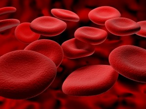 "And he said, What have you done? the voice of your brother's blood cries unto me from the ground." Gen 4:10 KJV. Pictured here: Red Blood cells. 