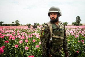 Afghan Army soldier guards poppy crop, being subsidized by American taxpayers in the form of Agricultural assistance, military and reconstruction aid funds.  