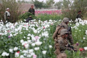 US troops rest in a poppy field of dreams in Afghanistan. 