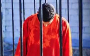 Jordanian pilot doused in gasoline seconds before he is lit on fire and consumed in flames...in the video you can hear his scream as his flesh drips off his body - it will forever haunt my nightmares! 