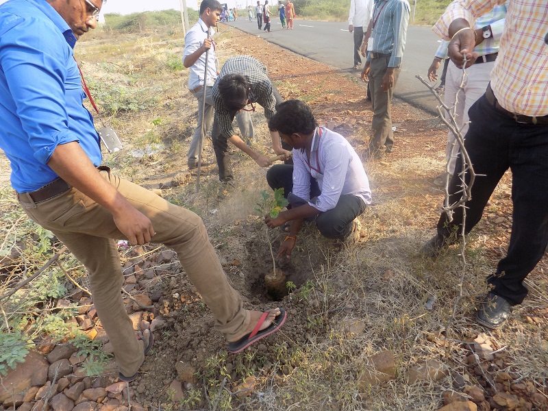 VITS Students planting the sapling at bypass, Proddatur on 24-03-2015.