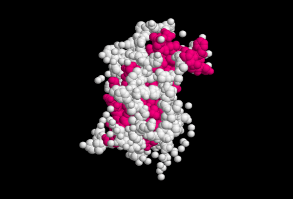 What Is Human Growth Hormone and What Does It Do?