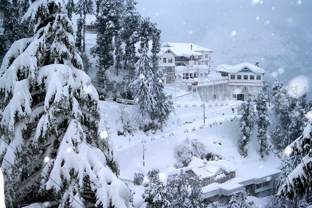 shimla