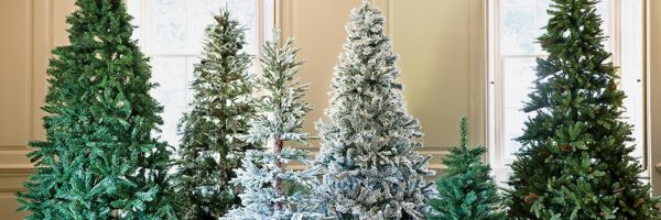 christmas-tree-buying-guide-teaser-image