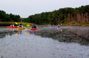 Kayaking Virgina